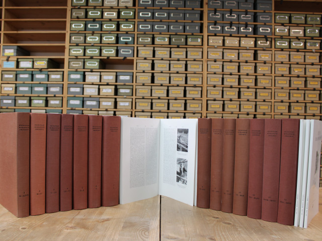 Das Wörterarchiv des Institut dal Dicziunari Rumantsch Grischun: Auf Zetteln gesammelte Ausdrücke beschreiben Wörter und Sachen des Rätoromanischen.